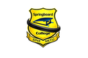 Springboard College